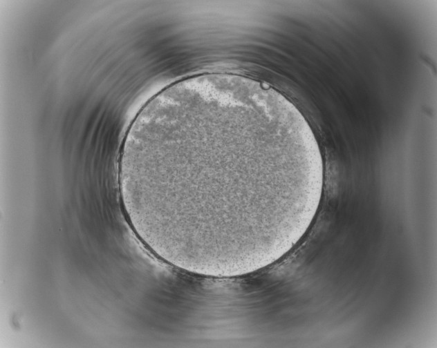 X0000103960808200810171900