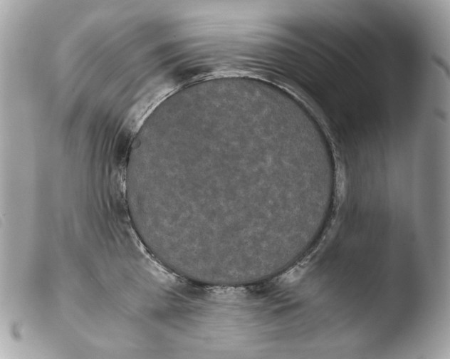 X0000103960809200810171900