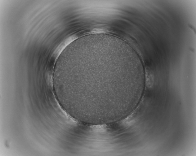 X0000103960810200810171900