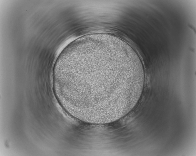 X0000103960811200810171900