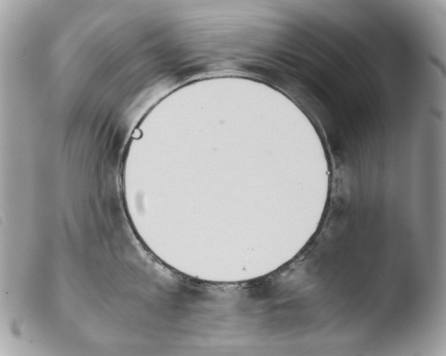 X0000103960813200810171900