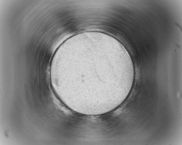 X0000103960814200810171900