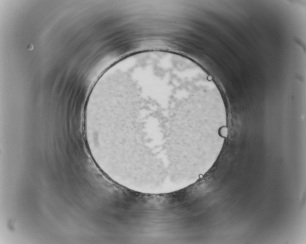 X0000103960815200810171900