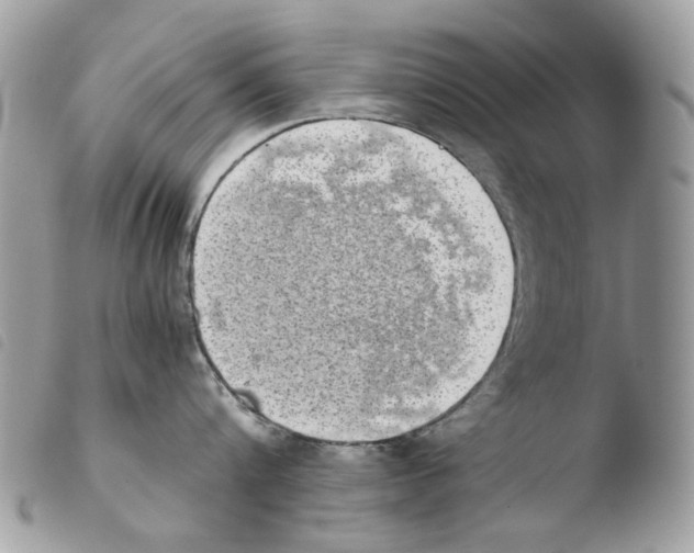 X0000103960816200810171900