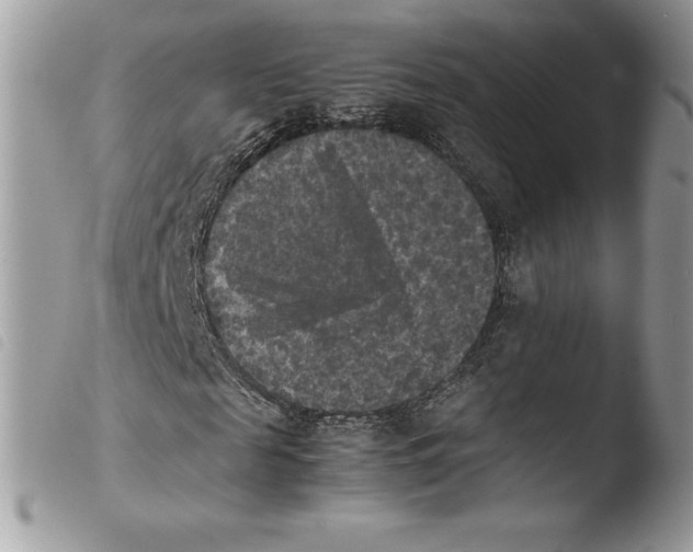 X0000103960817200810171900