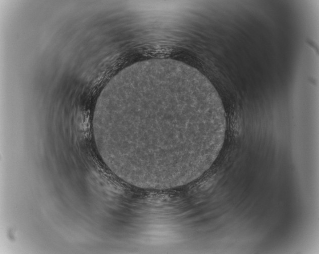 X0000103960818200810171900