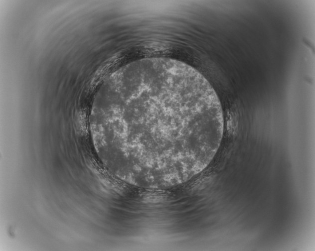 X0000103960819200810171900