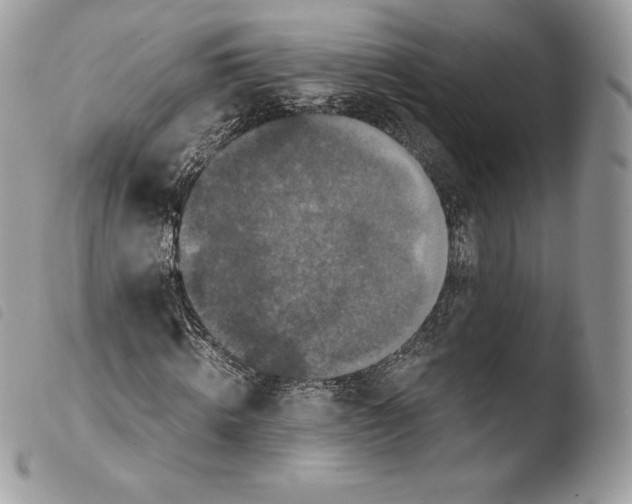 X0000103960820200810171900