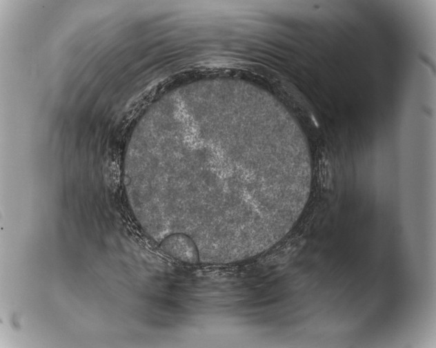 X0000103960821200810171900