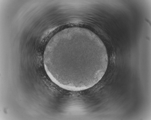 X0000103960822200810171900