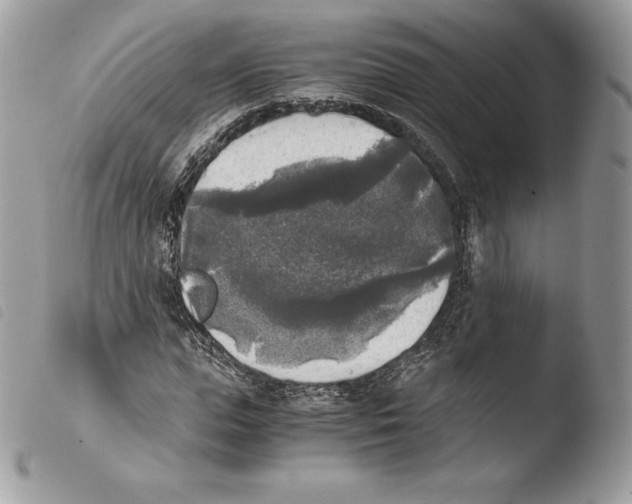 X0000103960823200810171900