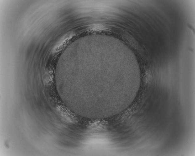 X0000103960824200810171900