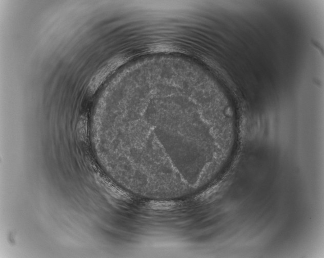 X0000103960825200810171900