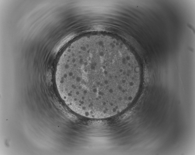 X0000103960826200810171900