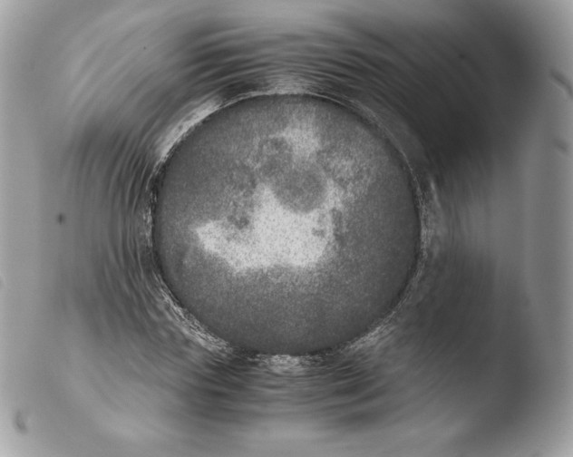 X0000103960827200810171900