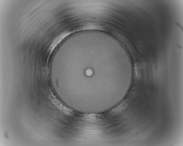 X0000103960828200810171900