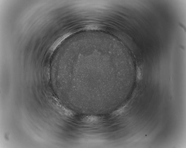 X0000103960829200810171900