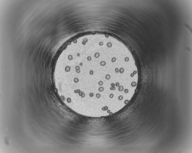 X0000103960830200810171900