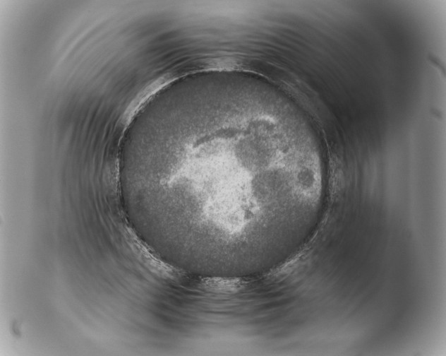 X0000103960831200810171900