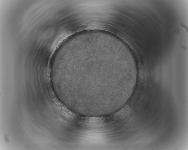 X0000103960832200810171900