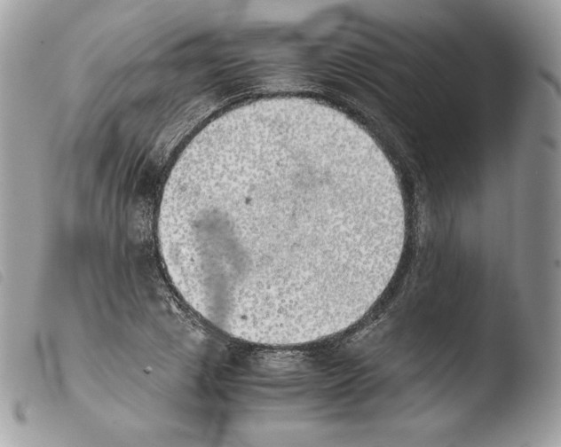 X0000103960833200810171900