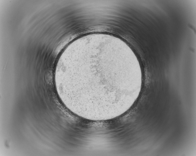 X0000103960834200810171900