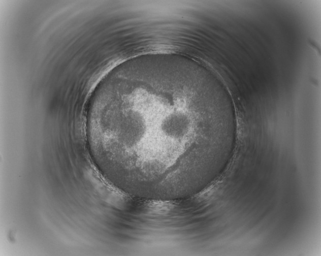 X0000103960835200810171900