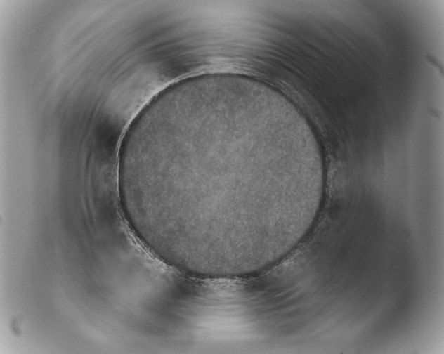 X0000103960836200810171900