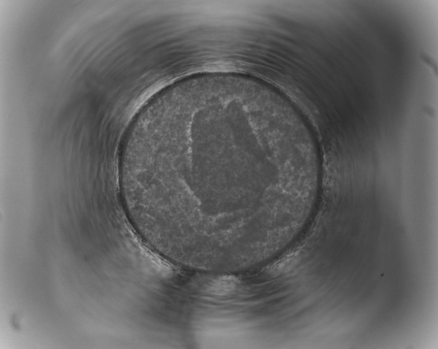 X0000103960837200810171900