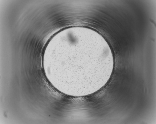 X0000103960838200810171900