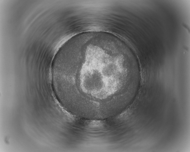 X0000103960839200810171900