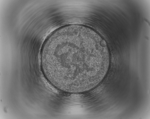 X0000103960840200810171900