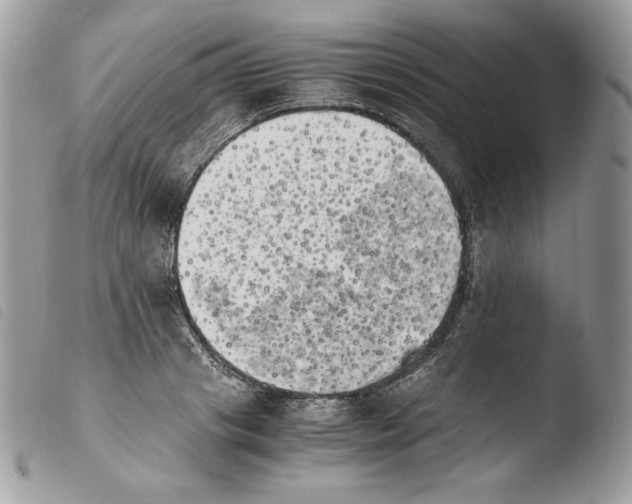 X0000103960841200810171900