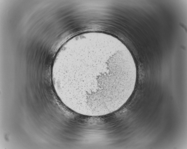 X0000103960842200810171900