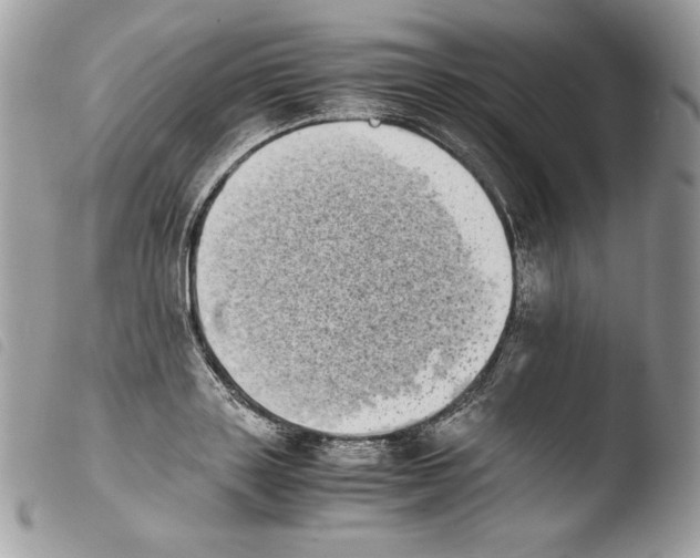 X0000103960843200810171900