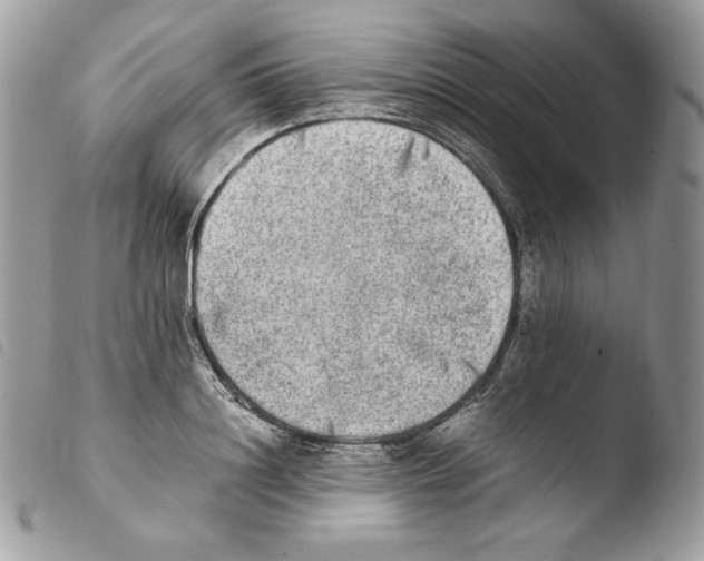 X0000103960844200810171900