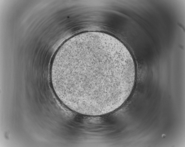 X0000103960845200810171900