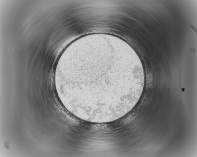 X0000103960846200810171900