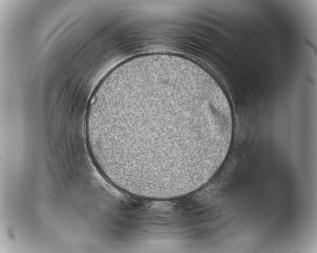 X0000103960847200810171900