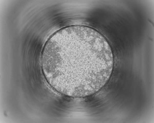 X0000103960848200810171900