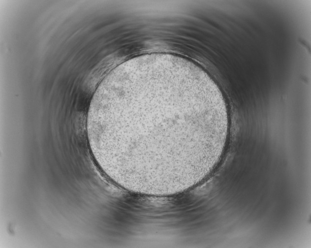 X0000103960849200810171900