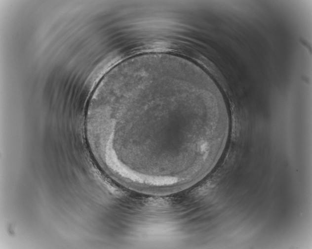 X0000103960850200810171900