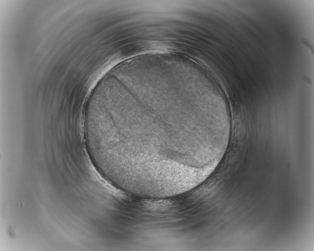 X0000103960851200810171900