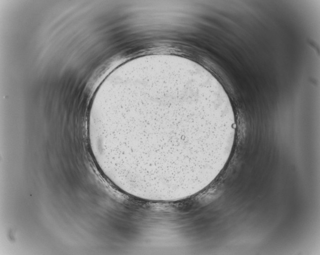 X0000103960852200810171900