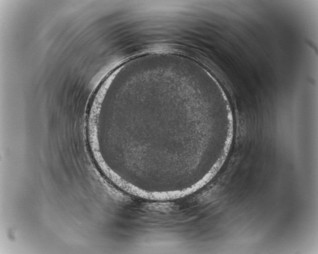 X0000103960853200810171900