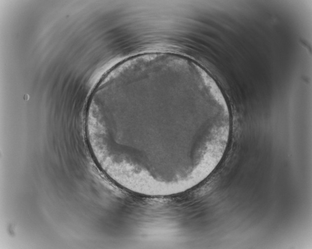 X0000103960854200810171900