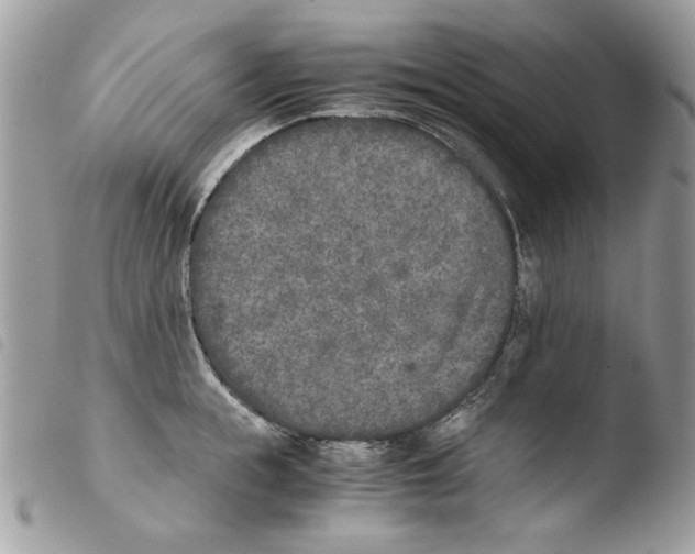 X0000103960855200810171900