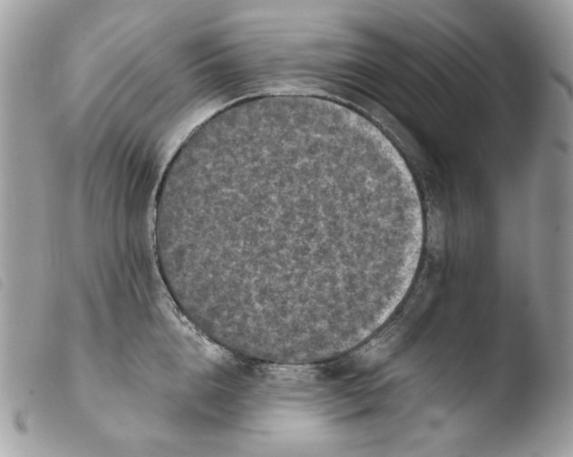 X0000103960856200810171900