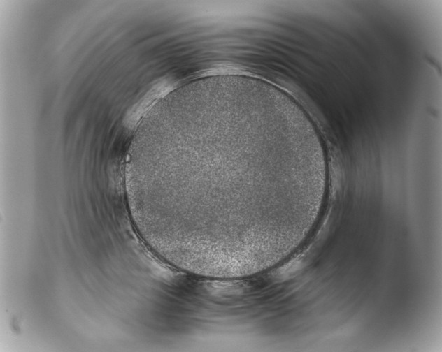 X0000103960857200810171900