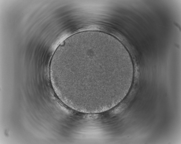 X0000103960858200810171900